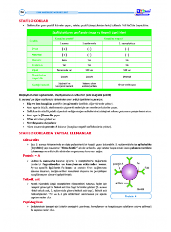 DUS Şampiyonların Notu - Mikrobiyoloji ( 2025 )