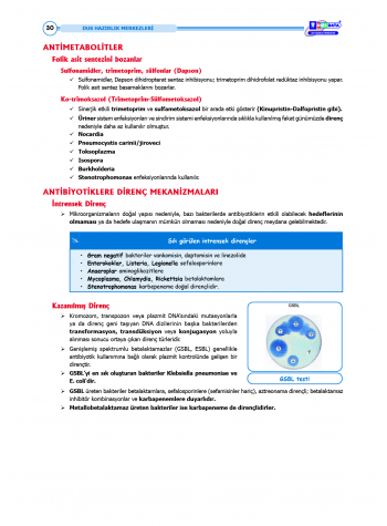 DUS Şampiyonların Notu - Mikrobiyoloji ( 2025 )
