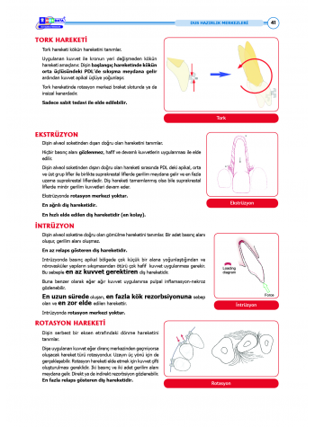 DUS Şampiyonların Notu - Ortodonti ( 2025 )
