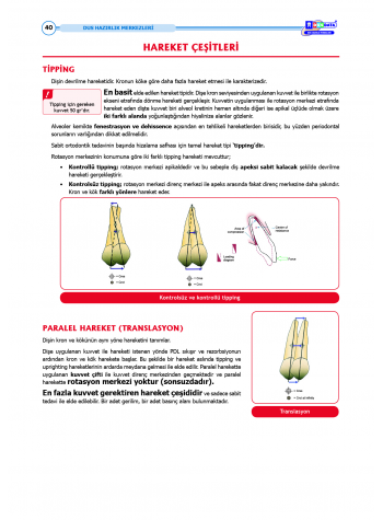 DUS Şampiyonların Notu - Ortodonti ( 2025 )