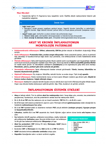 DUS Şampiyonların Notu - Patoloji ( 2025 )