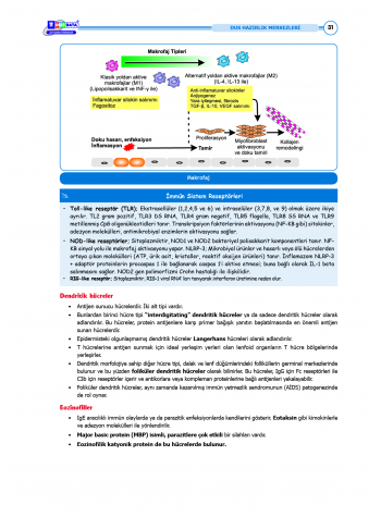 DUS Şampiyonların Notu - Patoloji ( 2025 )