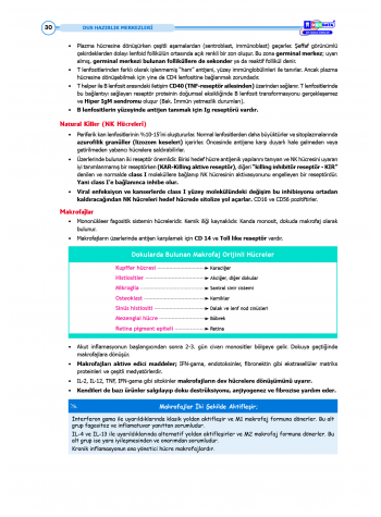 DUS Şampiyonların Notu - Patoloji ( 2025 )