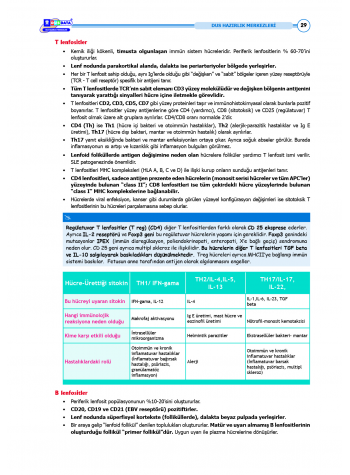 DUS Şampiyonların Notu - Patoloji ( 2025 )