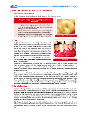 DUS Şampiyonların Notu - Pedodonti ( 2025 )