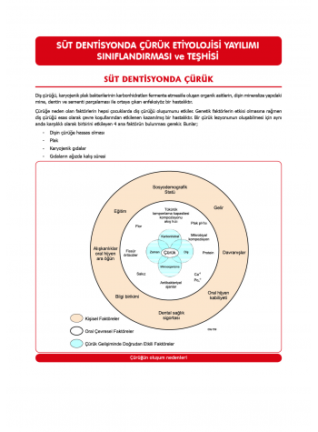 DUS Şampiyonların Notu - Pedodonti ( 2025 )