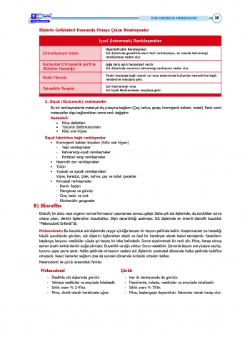 DUS Şampiyonların Notu - Pedodonti ( 2025 )