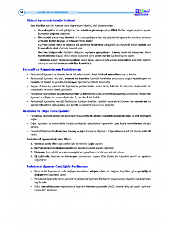 DUS Şampiyonların Notu - Periodontoloji ( 2025 )