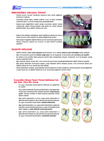DUS Şampiyonların Notu - Protetik Diş ( 2025 )
