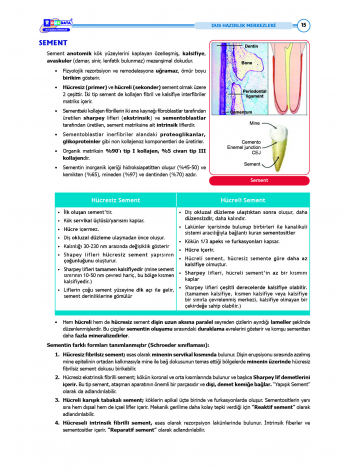 DUS Şampiyonların Notu ( 17.Baskı ) Periodontoloji