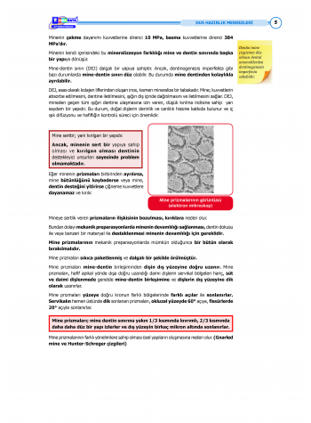 DUS Şampiyonların Notu Restoratif ( Özel Basım )