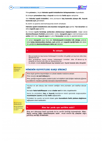 DUS Şampiyonların Notu Restoratif ( Özel Basım )