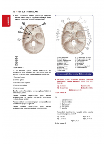 Tüm Dus Soruları 1+2 ( 1.Cilt ) Temel Bilimler 