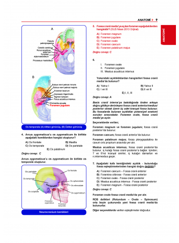 Tüm Dus Soruları 1+2 ( 1.Cilt ) Temel Bilimler 