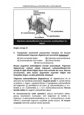 DUS Soruları - ÖSYM'nin Orijinal Haziran 2023 DUS Soruları - ÖSYM'nin Orijinal Haziran 2023