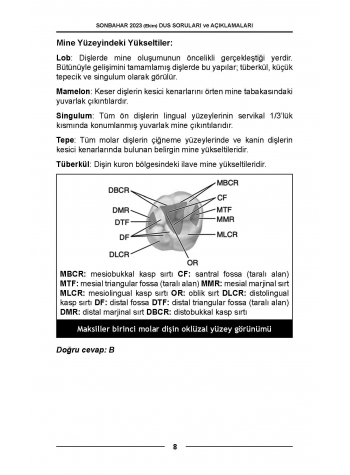 DUS Soruları - ÖSYM'nin Orijinal Sonbahar 2023