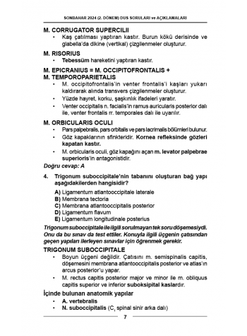DUS SORULARI - ÖSYM'nin Orijinal Sonbahar 2024