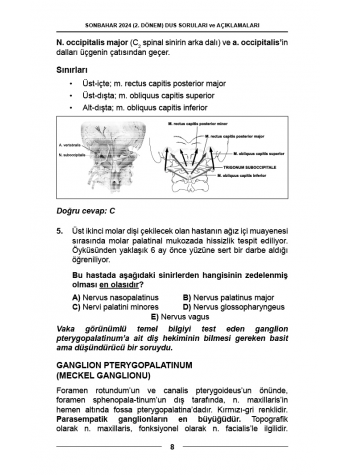 DUS SORULARI - ÖSYM'nin Orijinal Sonbahar 2024