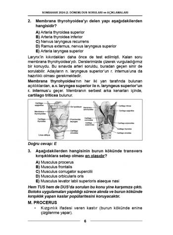 DUS SORULARI - ÖSYM'nin Orijinal Sonbahar 2024