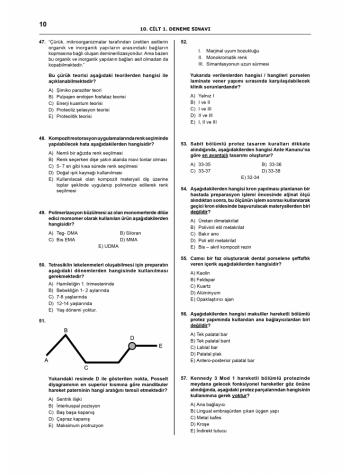 Denttest Deneme Sınavları / 10.Cilt