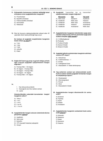 Denttest Deneme Sınavları / 10.Cilt