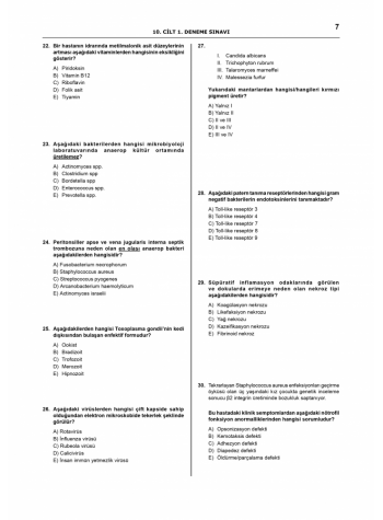 Denttest Deneme Sınavları / 10.Cilt