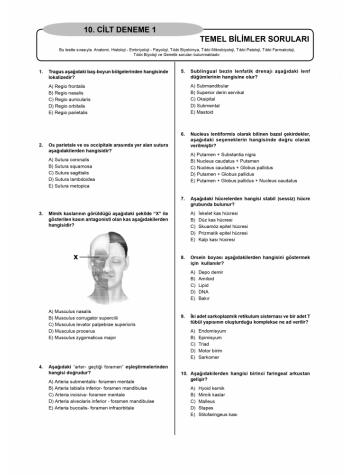 Denttest Deneme Sınavları / 10.Cilt