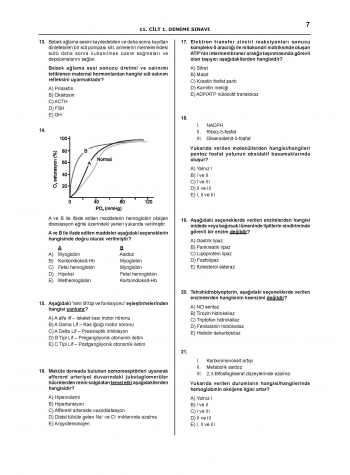 Denttest Deneme Sınavları / 11.Cilt