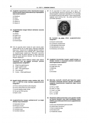 Denttest Deneme Sınavları / 11.Cilt