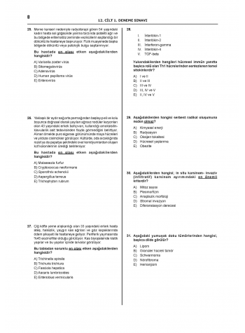 Denttest Deneme Sınavları / 12.Cilt