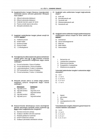 Denttest Deneme Sınavları / 12.Cilt