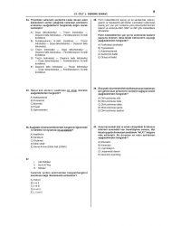 Denttest Deneme Sınavları / 13.Cilt