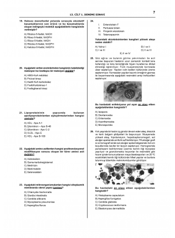 Denttest Deneme Sınavları / 13.Cilt