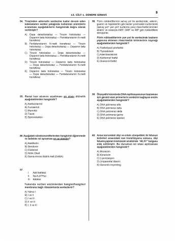 Denttest Deneme Sınavları / 13.Cilt Denttest Deneme Sınavları / 13.Cilt
