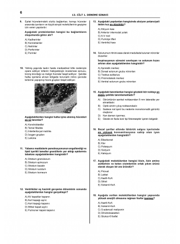 Denttest Deneme Sınavları / 13.Cilt Denttest Deneme Sınavları / 13.Cilt