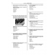 Denttest Deneme Sınavları / 13.Cilt Denttest Deneme Sınavları / 13.Cilt