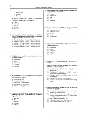 Denttest Deneme Sınavları / 14.Cilt