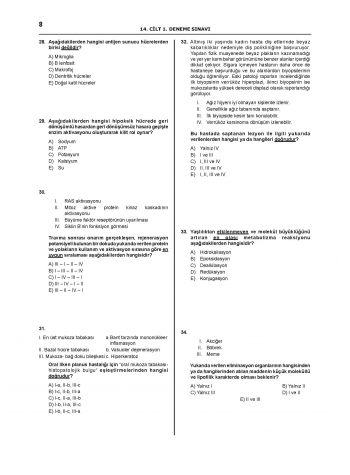 Denttest Deneme Sınavları / 14.Cilt