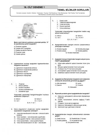 Denttest Deneme Sınavları / 16.Cilt Denttest Deneme Sınavları / 16.Cilt