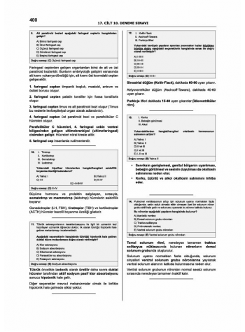 Denttest Deneme Sınavları / 17.Cilt