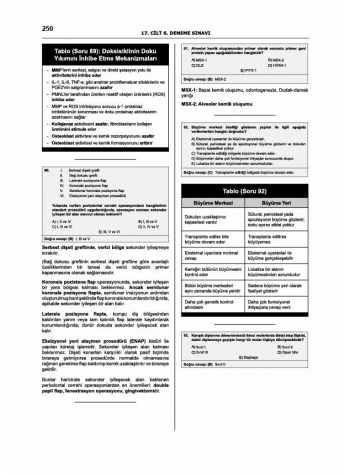 Denttest Deneme Sınavları / 17.Cilt