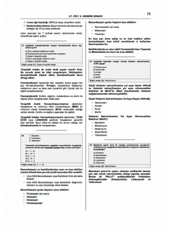 Denttest Deneme Sınavları / 17.Cilt