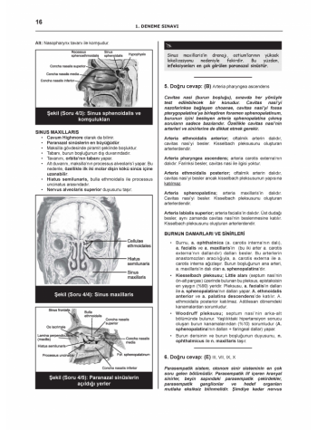 DENTTEST DUS İÇİN AÇIKLAMALI 12 DNM.SNV ( 5.CİLT )