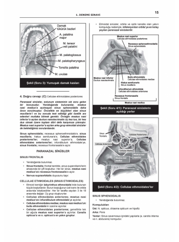 DENTTEST DUS İÇİN AÇIKLAMALI 12 DNM.SNV ( 5.CİLT )