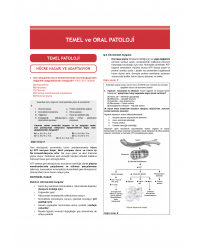 Dusdatamax Tüm Dus Soruları 1+2 ( 5.Baskı ) 2.Cilt