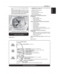 Tüm DUS Soruları ( 5.Baskı ) Temel / 1.Cilt