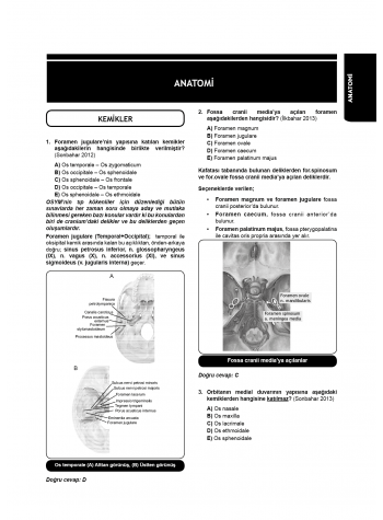 Tüm DUS Soruları ( 7.Baskı ) Temel / 1.Cilt Tüm DUS Soruları ( 7.Baskı ) Temel / 1.Cilt