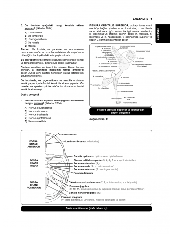 Tüm DUS Soruları ( 7.Baskı ) Temel / 1.Cilt Tüm DUS Soruları ( 7.Baskı ) Temel / 1.Cilt