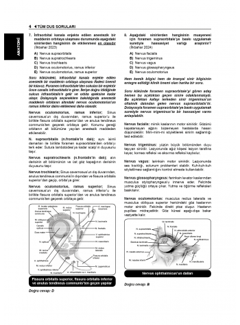 Tüm DUS Soruları ( 7.Baskı ) Temel / 1.Cilt Tüm DUS Soruları ( 7.Baskı ) Temel / 1.Cilt