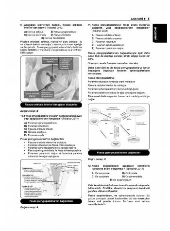 Tüm DUS Soruları ( 7.Baskı ) Temel / 1.Cilt Tüm DUS Soruları ( 7.Baskı ) Temel / 1.Cilt